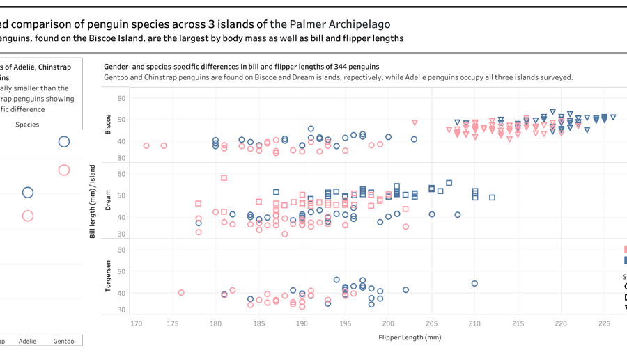 Penguins of the Palmer Archipelago