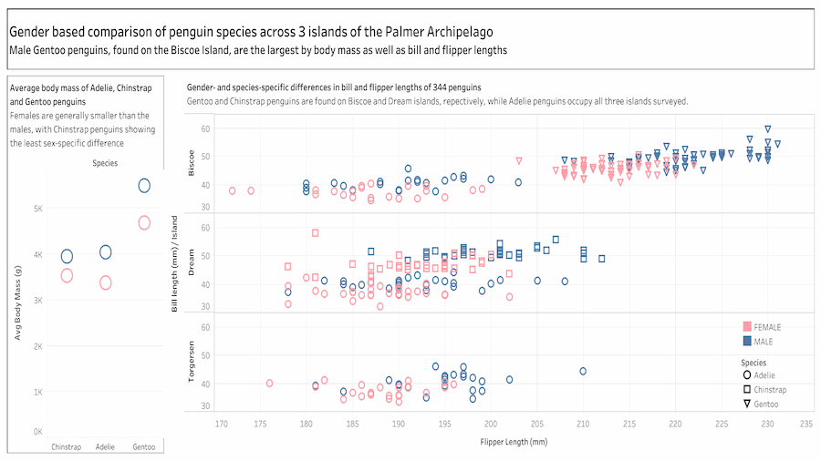 Penguins of the Palmer Archipelago
